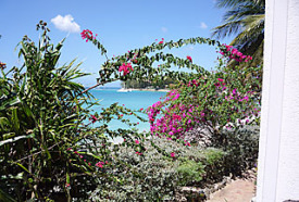 beachfront condominium garden barbados