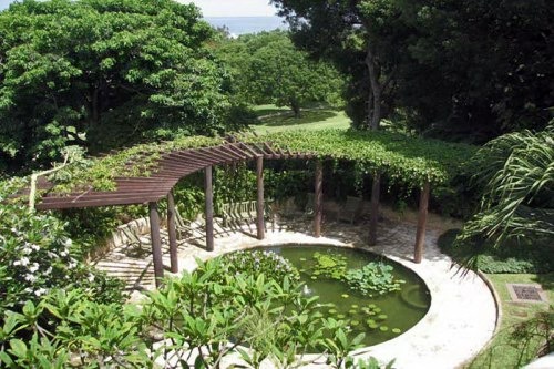 garden at villa elsewhere barbados