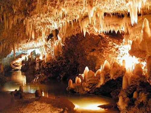 harrisons cave barbados