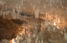 harrisons cave east coast barbados