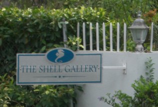 the shell gallery gibbs st peter barbados