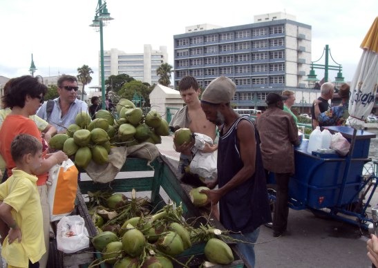 coconut water seller bridgetown barbados