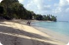 gibbs beach west coast barbados