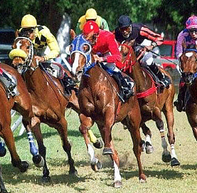 horse racing in barbados at the garrison 