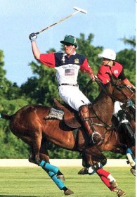 polo in barbados 